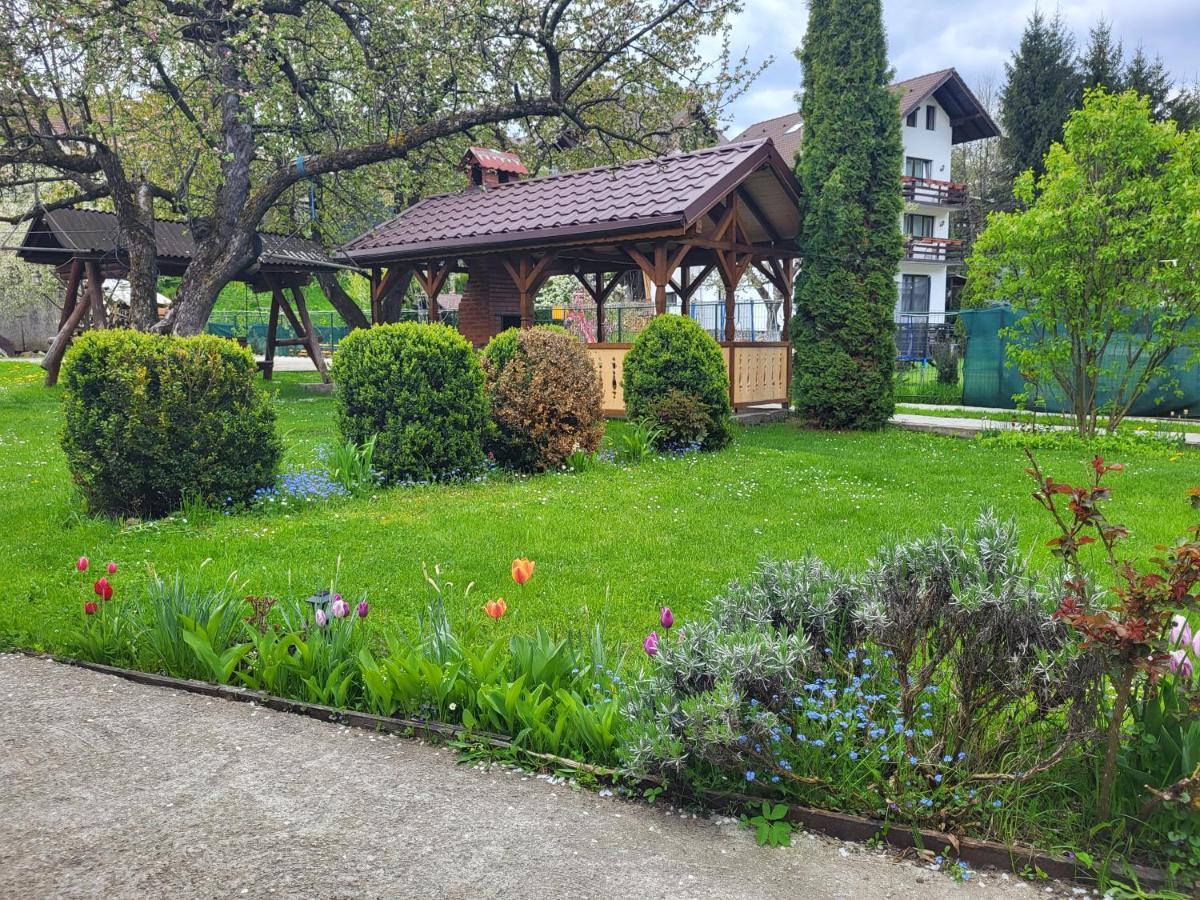 Отель Casa Ernst Моечу-де-Жос Экстерьер фото